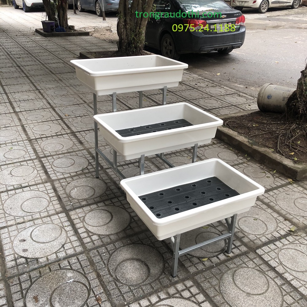 Kệ bậc thang 3 tầng trồng rau cỡ đại - Ảnh 1